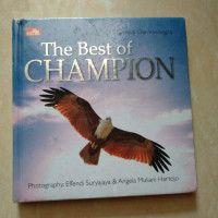 Image of The Best of Champion